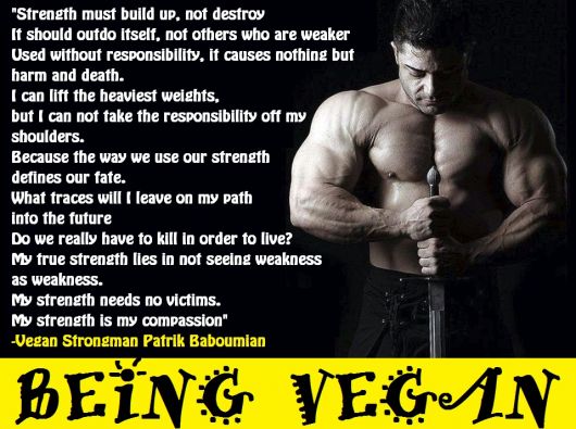 [Image: bringthveganstrongmanjpg.jpg]